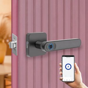 Top Features of LAVNA Smart Door Lock